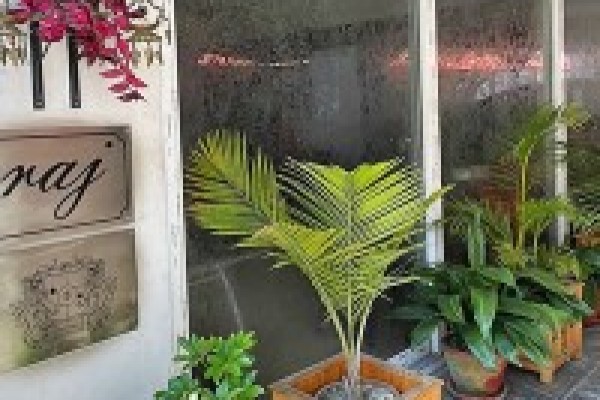 TROPICAL WHITE